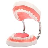 SOFORFREEM Diente Boca Modelo 6 X Ampliado con Bisagra de Metal, Juego Completo de Dientes y Lengua...